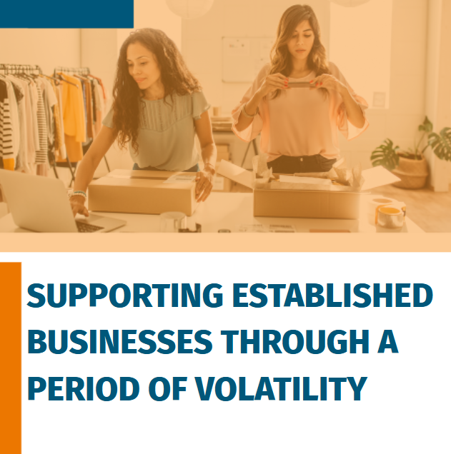 Supporting Established Businesses Through a Period of Volatility